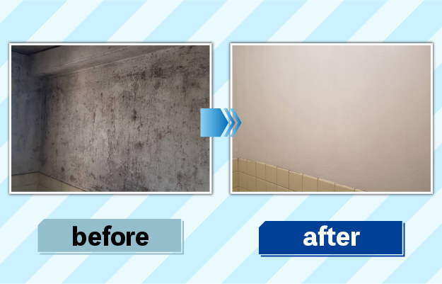 風呂場掃除の前後の写真